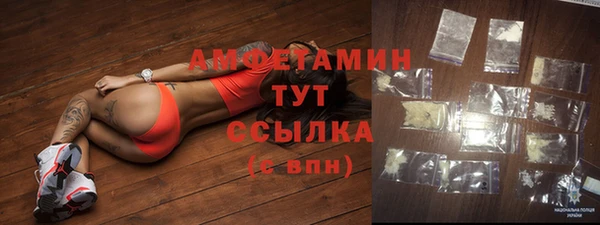 прущие грибы Абаза