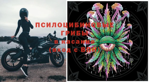 прущие грибы Абаза