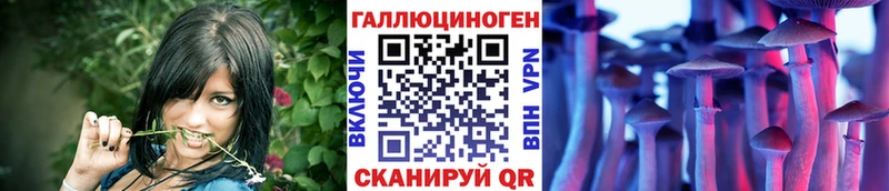 хочу   Истра  ссылка на мегу маркетплейс  Псилоцибиновые грибы мухоморы 